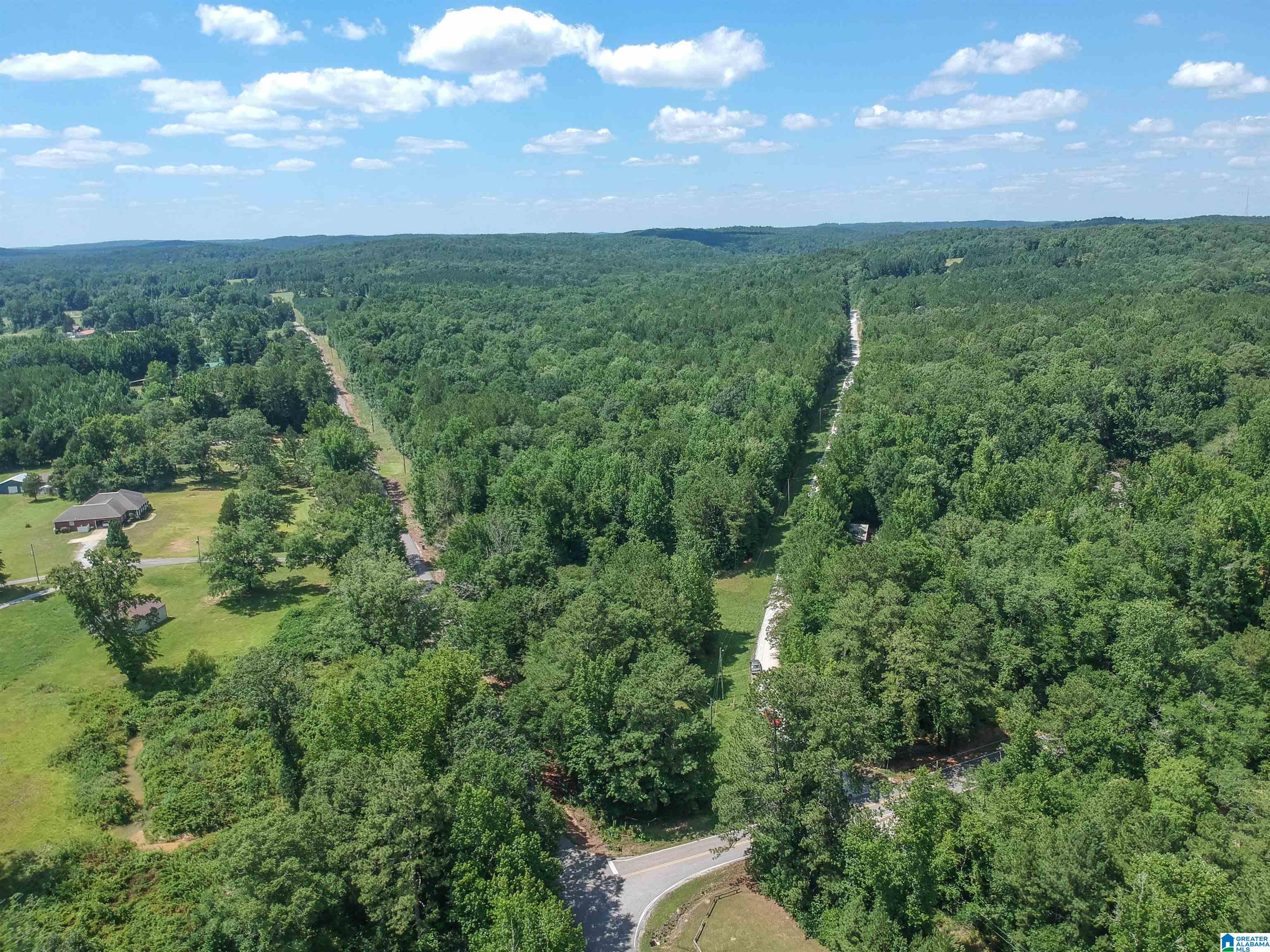 0 Upper Columbus Road Coker, AL 35452 - Photo 14 of 15