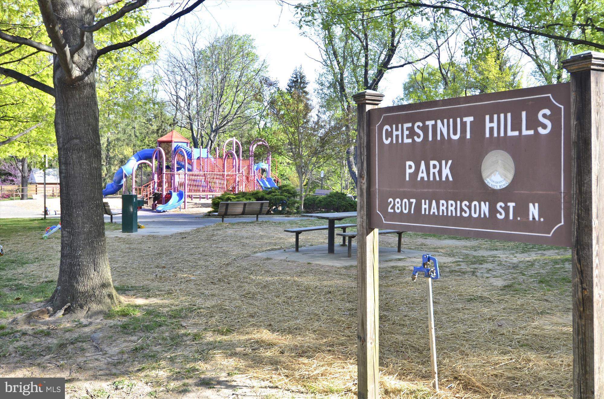 5806 Little Falls Road Arlington, VA 22207 - Photo 51 of 62 Chestnut Hills Park