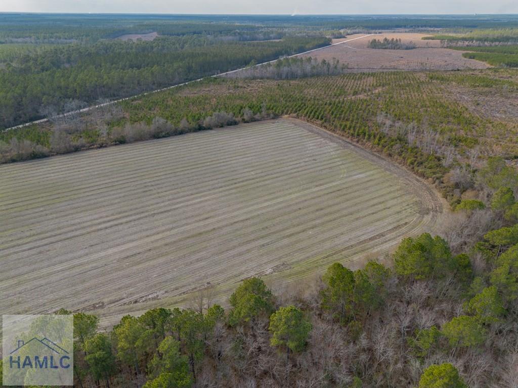 3 Reddish Road Screven, GA 31560 - Photo 32 of 55 Gallery Image 32