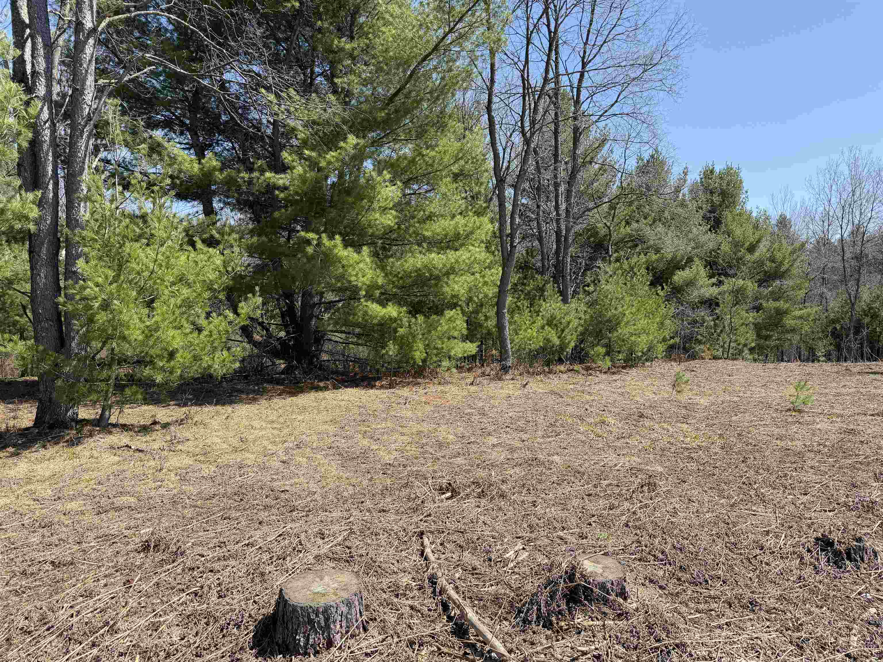 0 Landis Road Thompsonville, MI 49683 - Photo 21 of 26