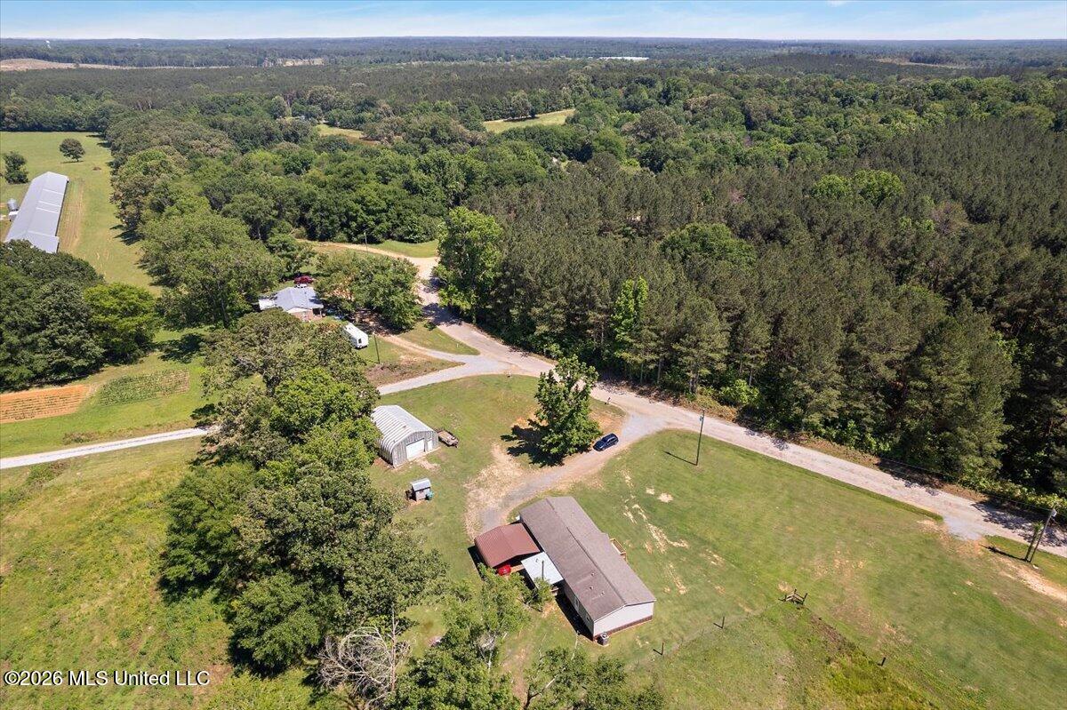 325 Crowder Creek Road Carthage, MS 39051 - Photo 31 of 31 32-IDJI_0245