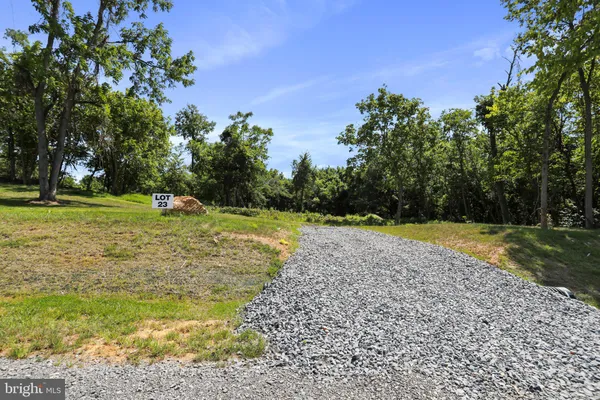 a view of a yard with large trees