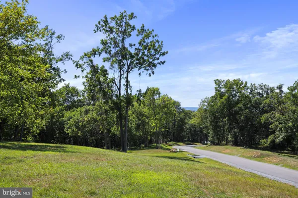 a view of a golf course with a tree