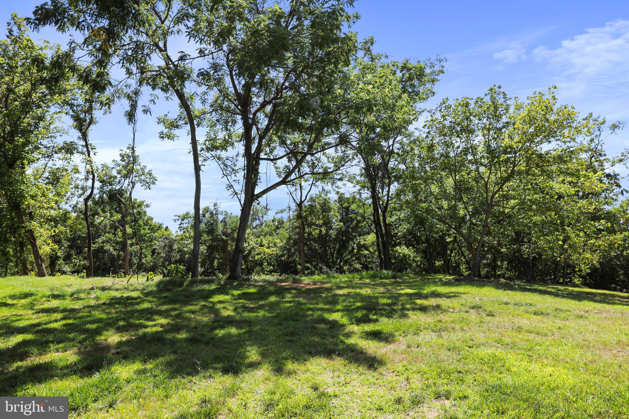 2 Bella Vista Falling Waters, WV 25419 - Photo 6 of 7 a view of outdoor space with trees all around