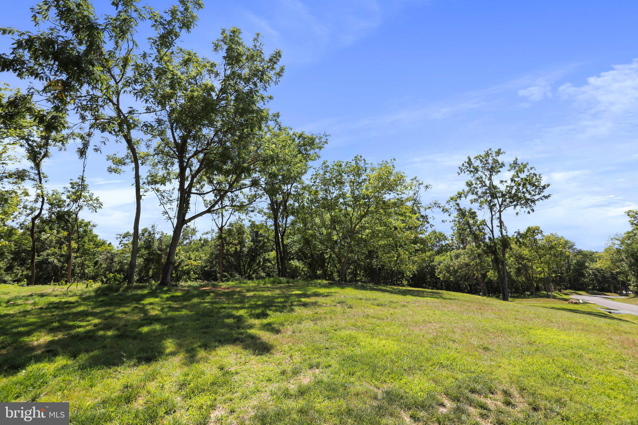 2 Bella Vista Falling Waters, WV 25419 - Photo 7 of 7 a view of yard with trees