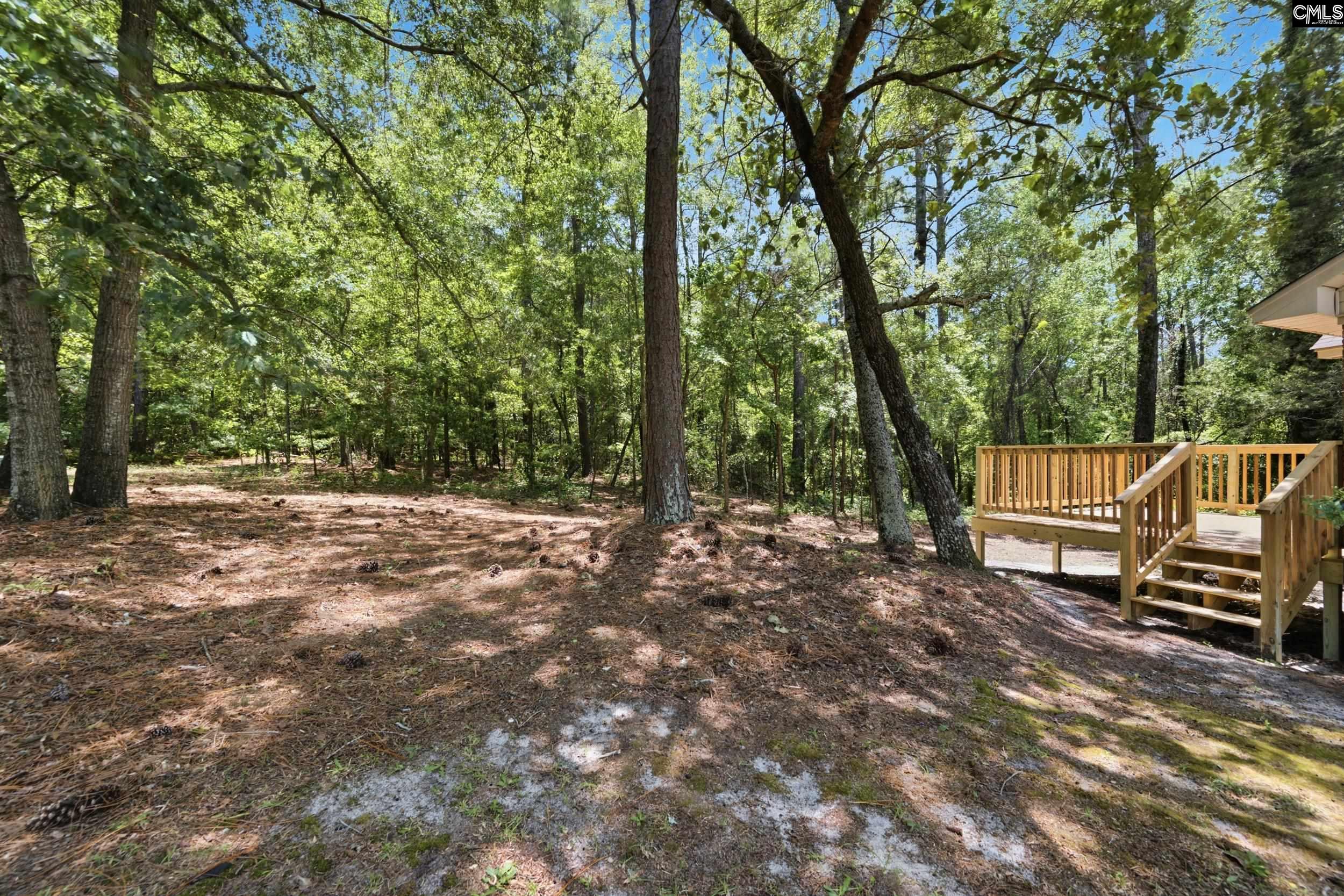 113 Maple Shade Lane Lexington, SC 29073 - Photo 30 of 31