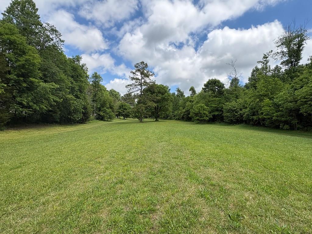 0 East Emerson Road Cohutta, GA 30710 - Photo 1 of 9 Main View
