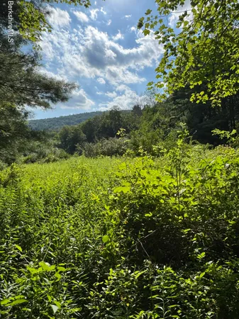a view of a garden