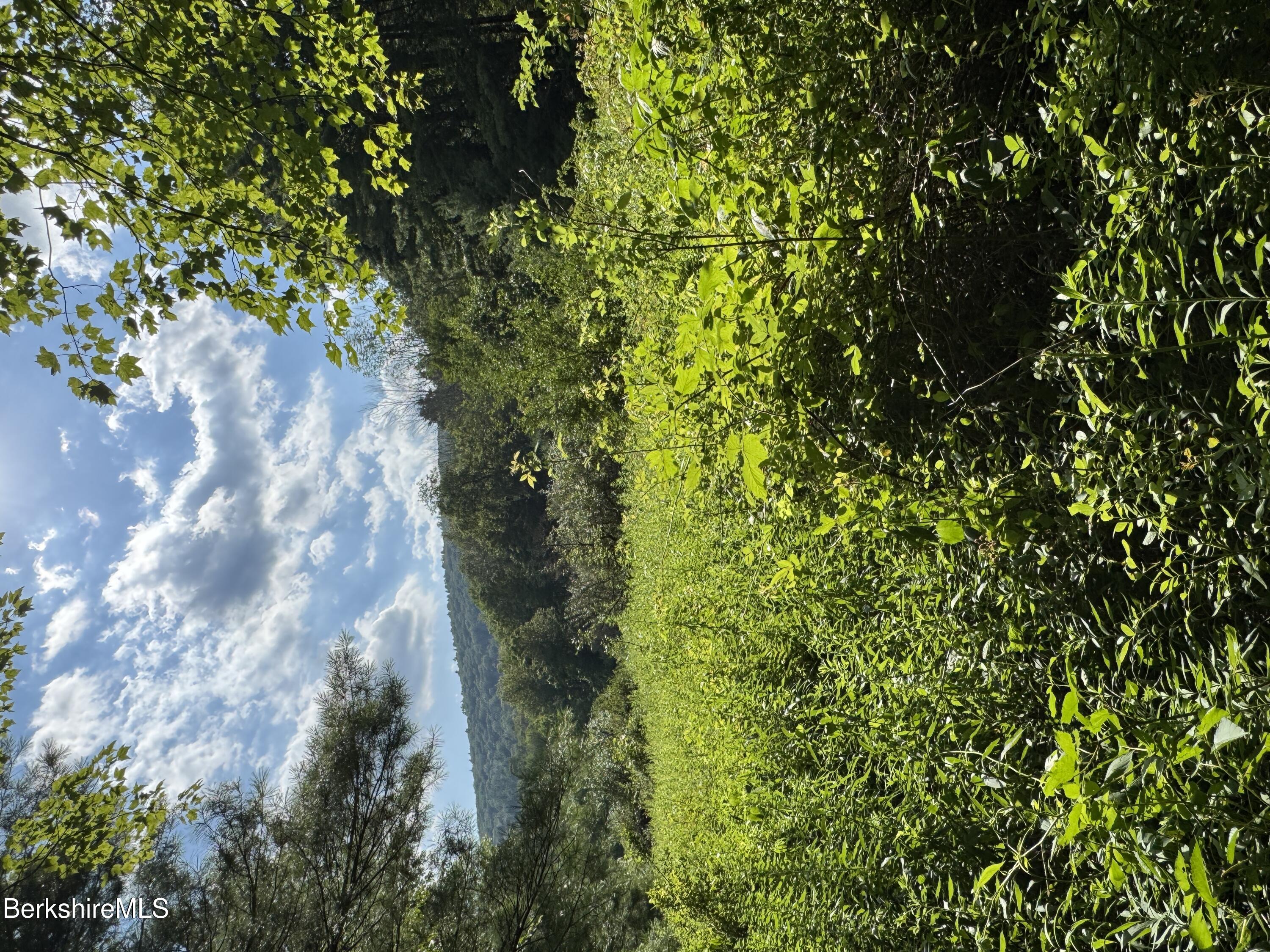 416 W Road Alford, MA 01266 - Photo 1 of 21 a view of a garden