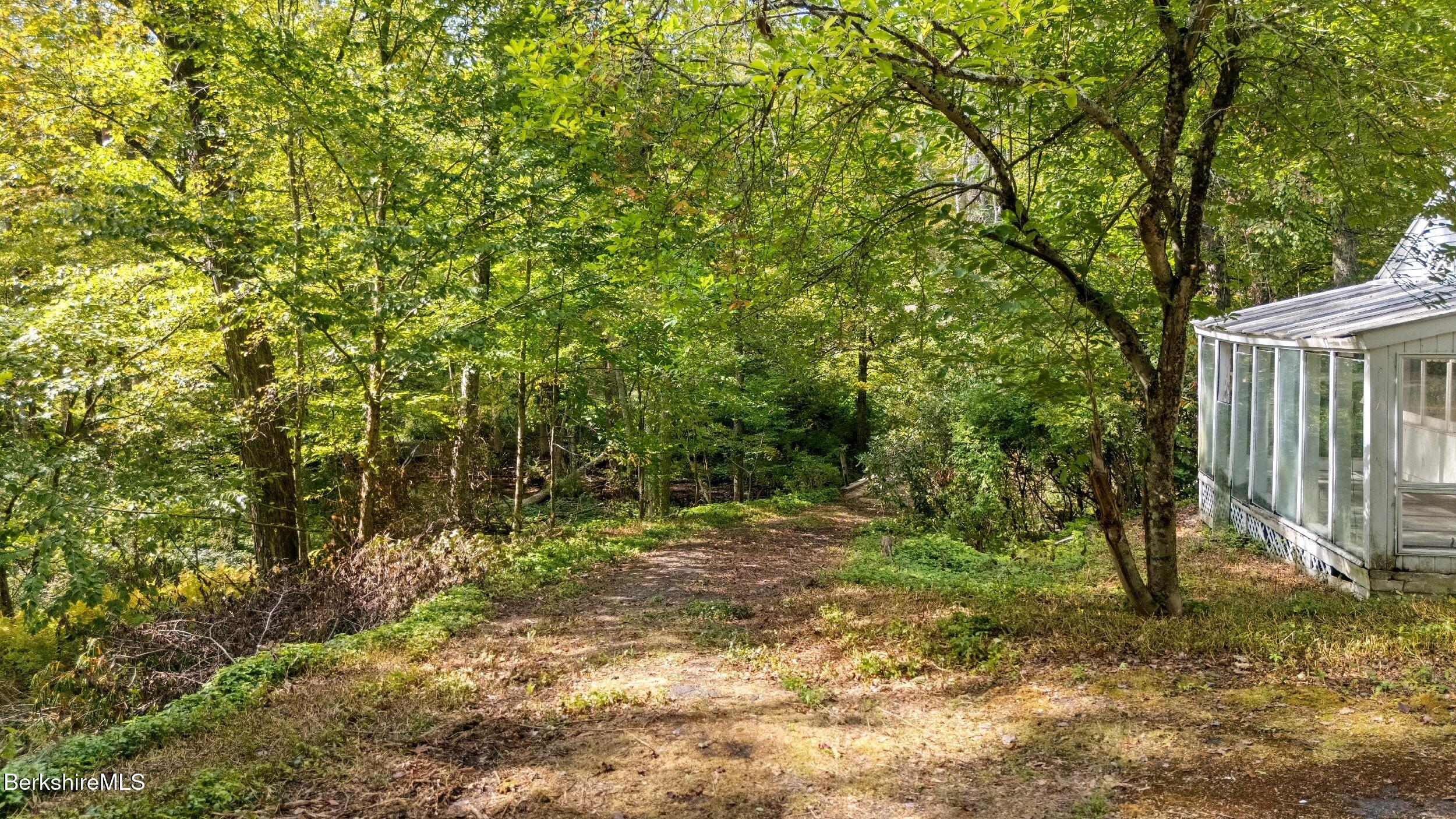 416 W Road Alford, MA 01266 - Photo 11 of 21 a view of a yard with plants and large trees