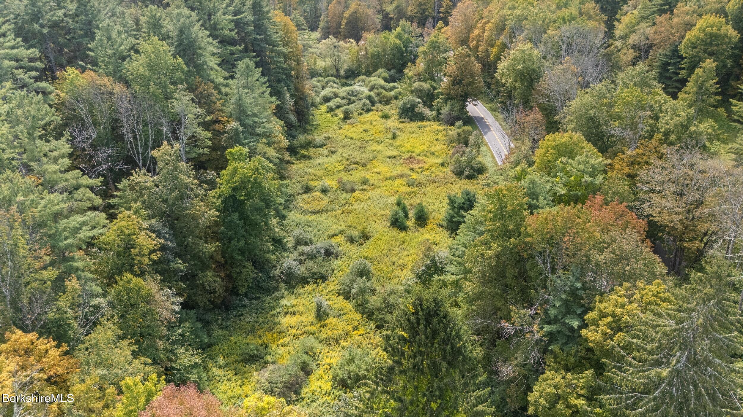 416 W Road Alford, MA 01266 - Photo 13 of 21 a view of a yard