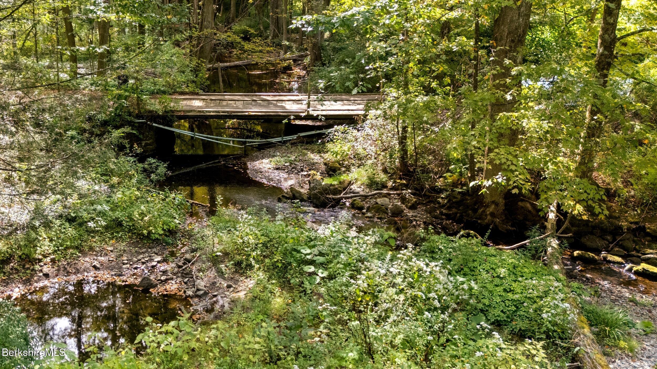 416 W Road Alford, MA 01266 - Photo 15 of 21 a view of a yard with plants