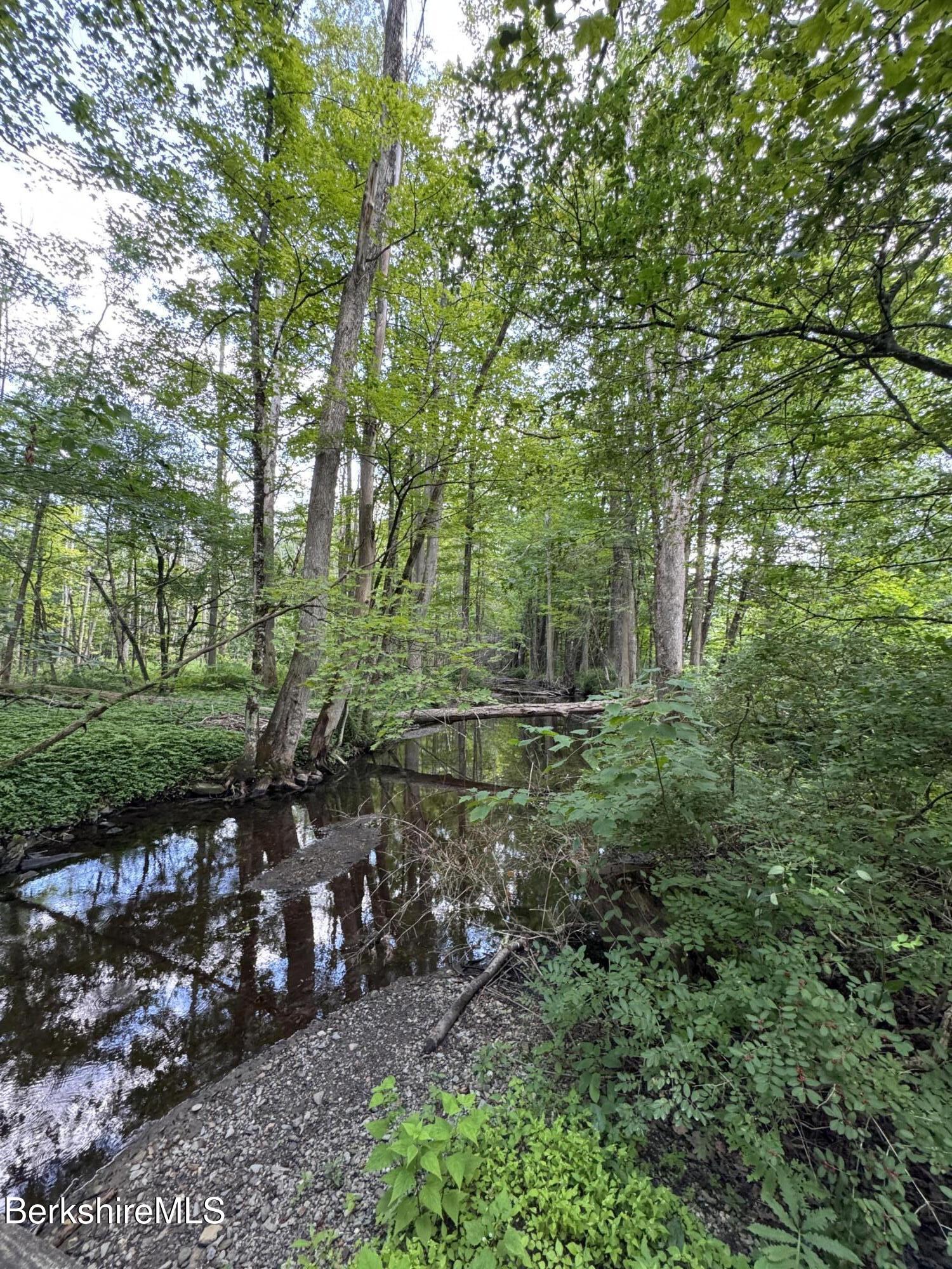 416 W Road Alford, MA 01266 - Photo 4 of 21 a view of a park with large trees