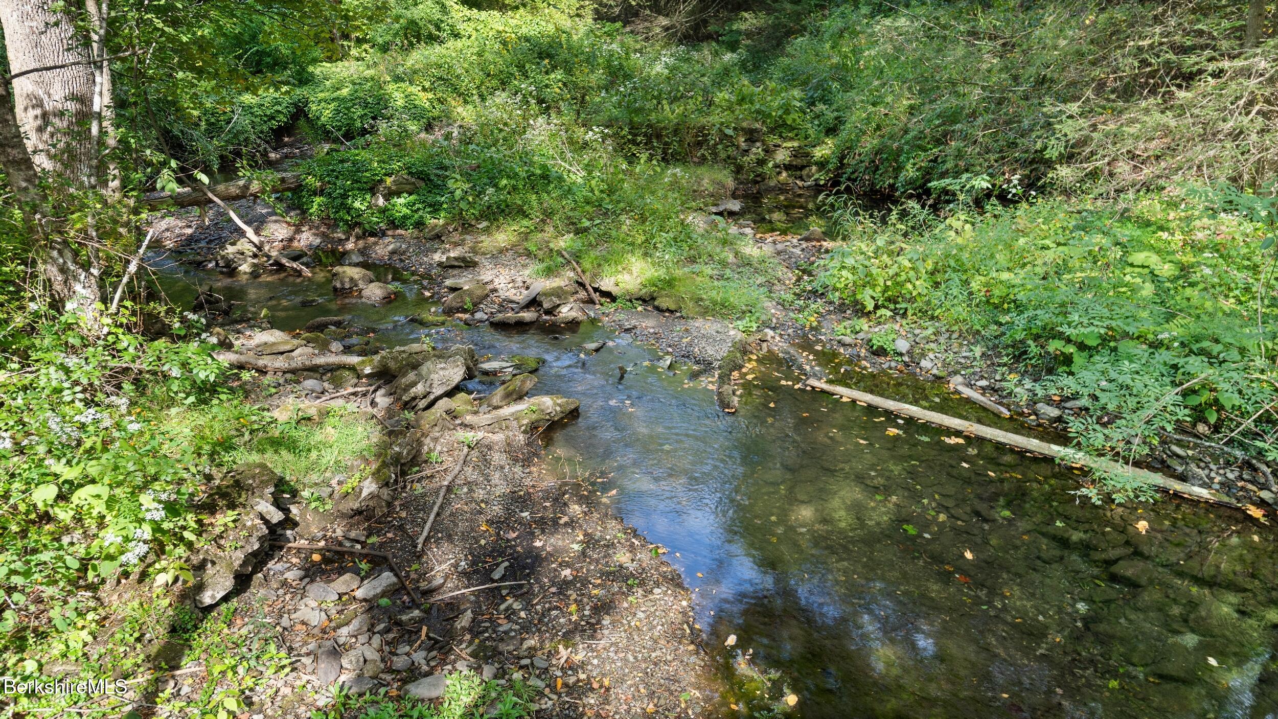 416 W Road Alford, MA 01266 - Photo 7 of 21 a view of a forest with a tree
