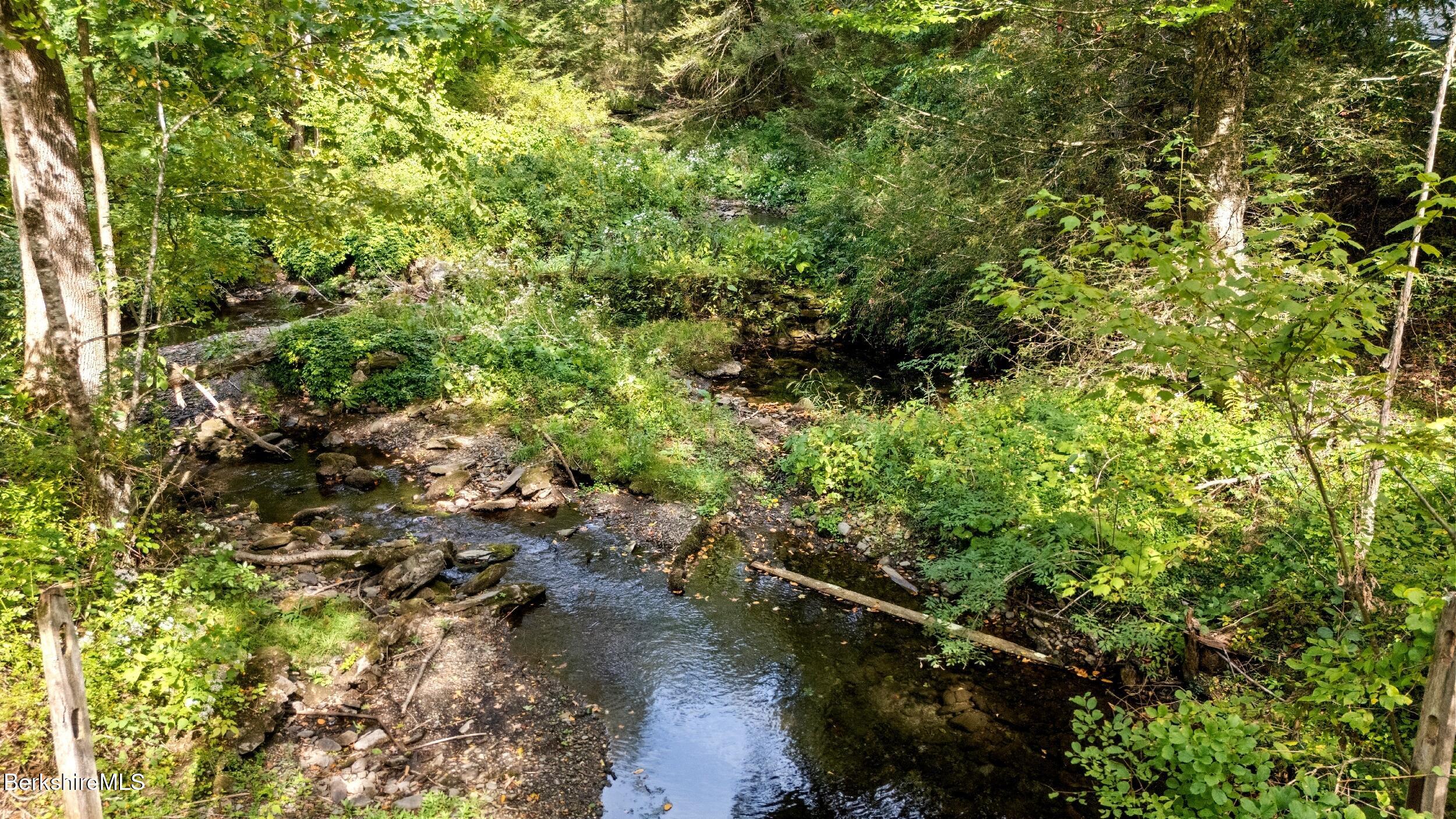 416 W Road Alford, MA 01266 - Photo 8 of 21 a view of a lake with a tree