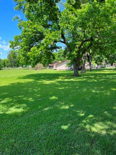 304 Sunset Street Roxton, TX 75477 - Photo 30 of 31 a view of yard with green space