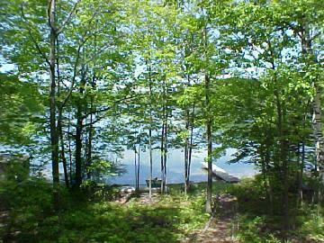11284 Alpine Road Canadian Lakes, MI 49346 - Photo 3 of 7 Additional Photo