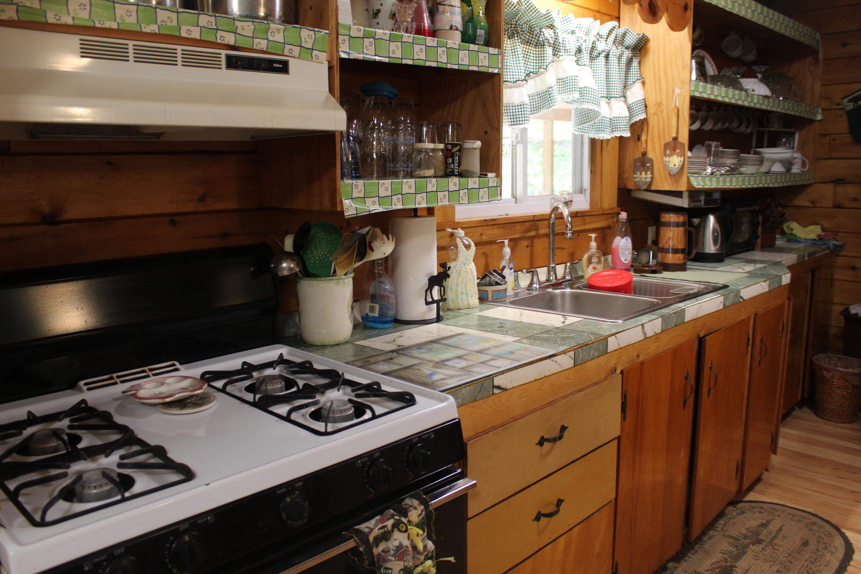9 Willigar Road Crystal, ME 04747 - Photo 3 of 55 IMG_2061
