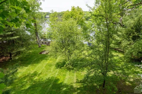 a view of a lush green forest