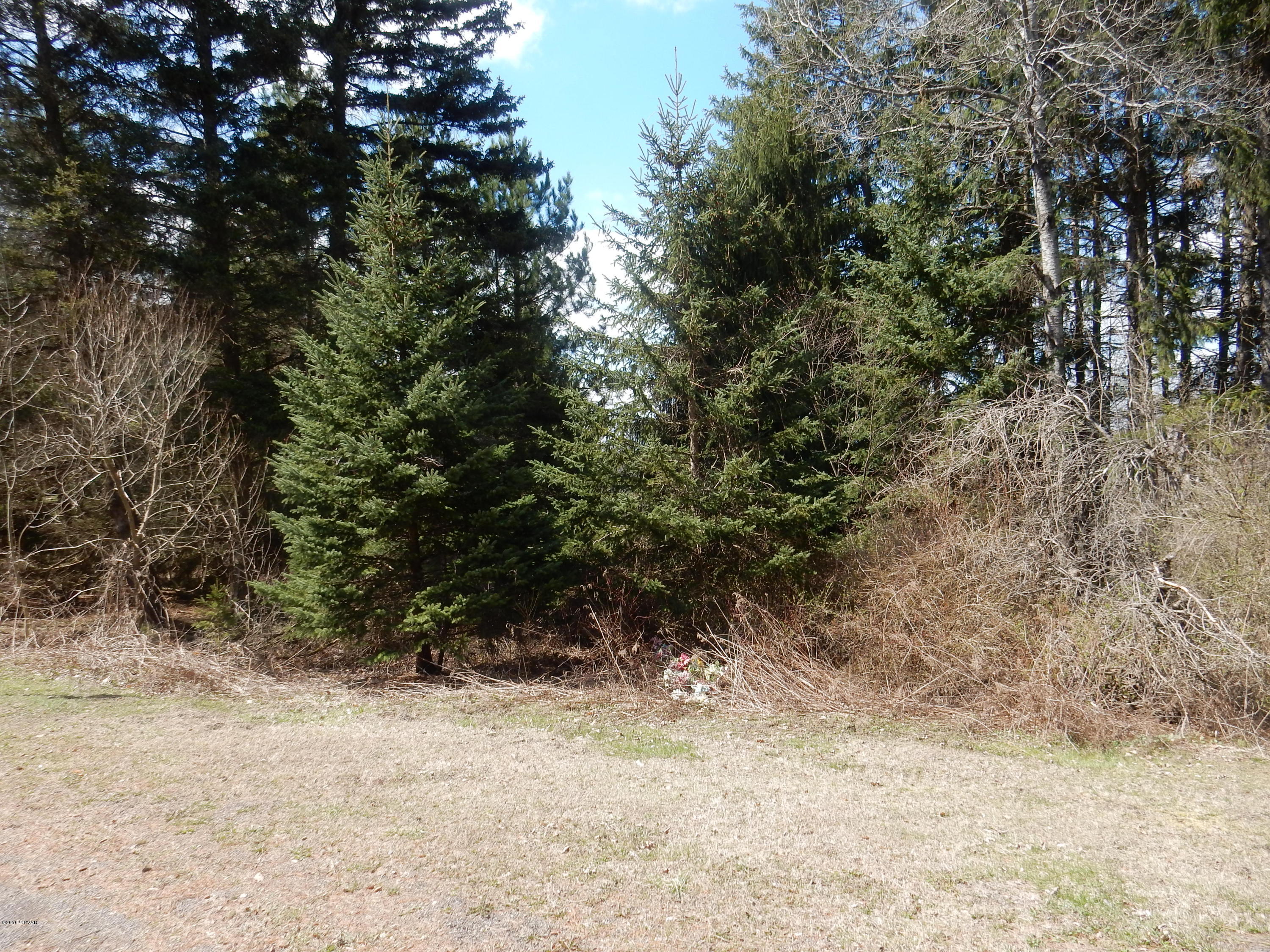 0 Old Bernice Road Dushore, PA 18614 - Photo 1 of 6 DSCN5081