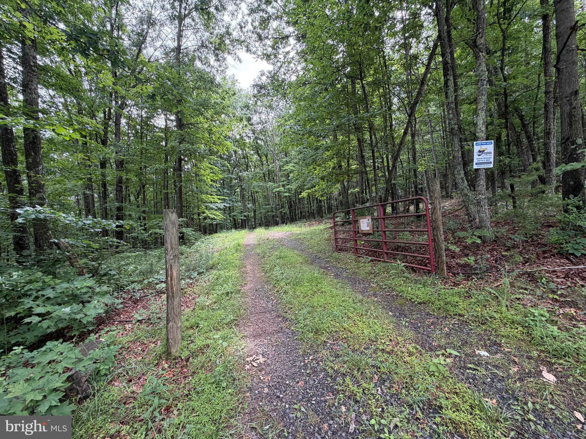 1419 Paul's Woods Road Delray, WV 26714 - Photo 69 of 105 a view of park