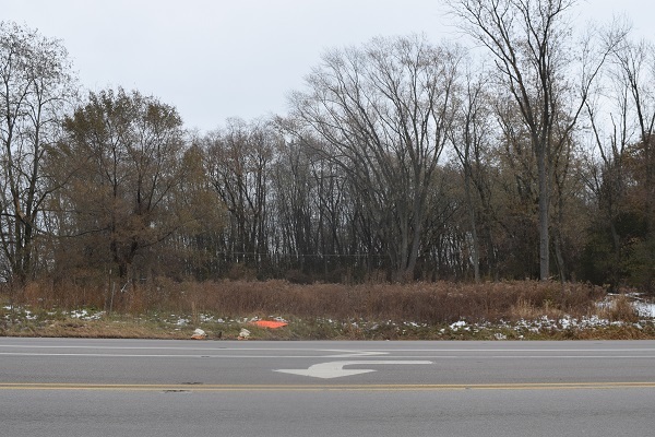 38859 North Green Bay Road Beach Park, IL 60087 - Photo 1 of 1 a view of a yard and a fountain