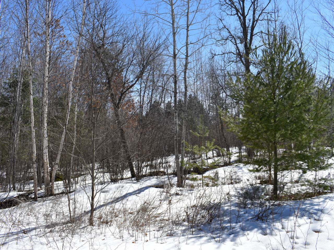 N10246 South Pine Road, Unit LOT2 Tomahawk, WI 54487 - Photo 18 of 20 Gallery Image 18