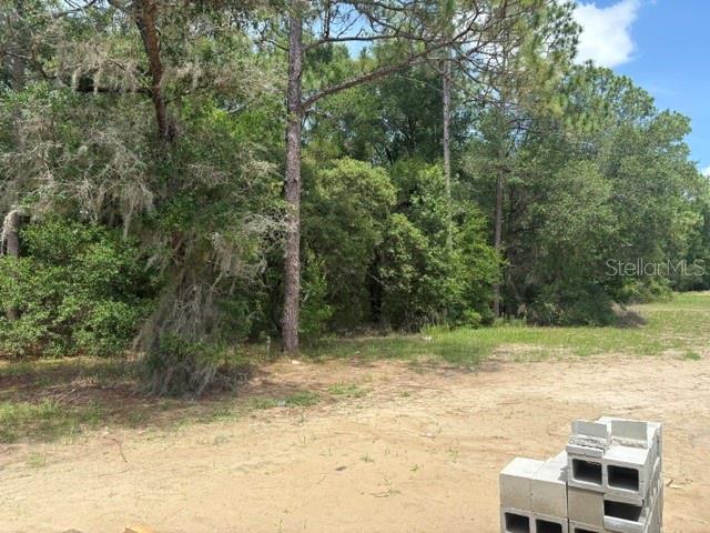 17889 Southwest 61st Ln Road Dunnellon, FL 34432 - Photo 6 of 18