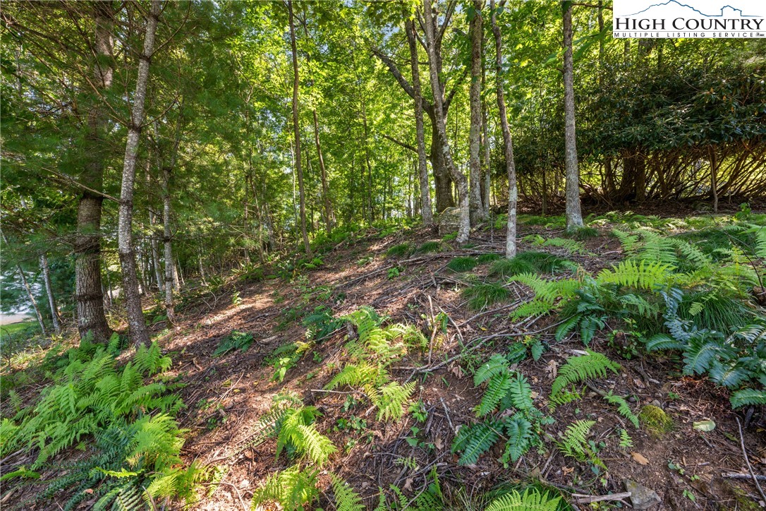 632 White Laurel Lane Boone, NC 28607 - Photo 33 of 46