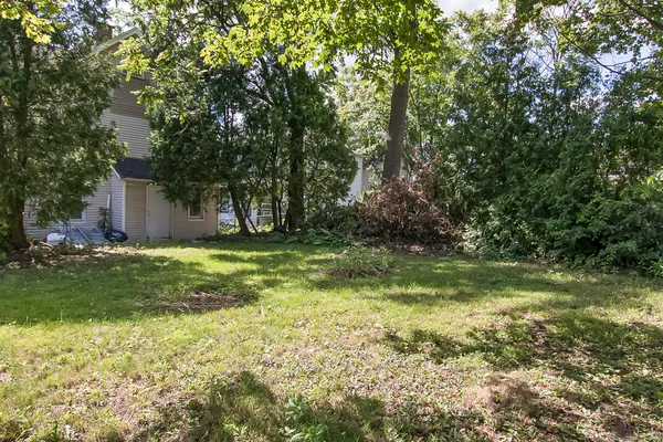 a view of a yard with plants