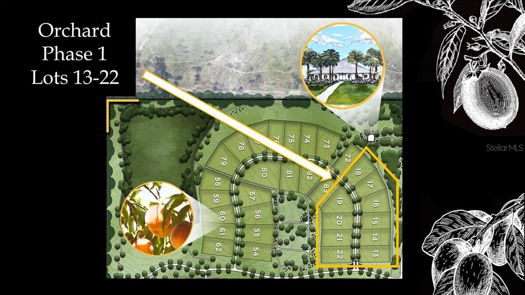 12504 Southwest 58th Place Archer, FL 32618 - Photo 4 of 22