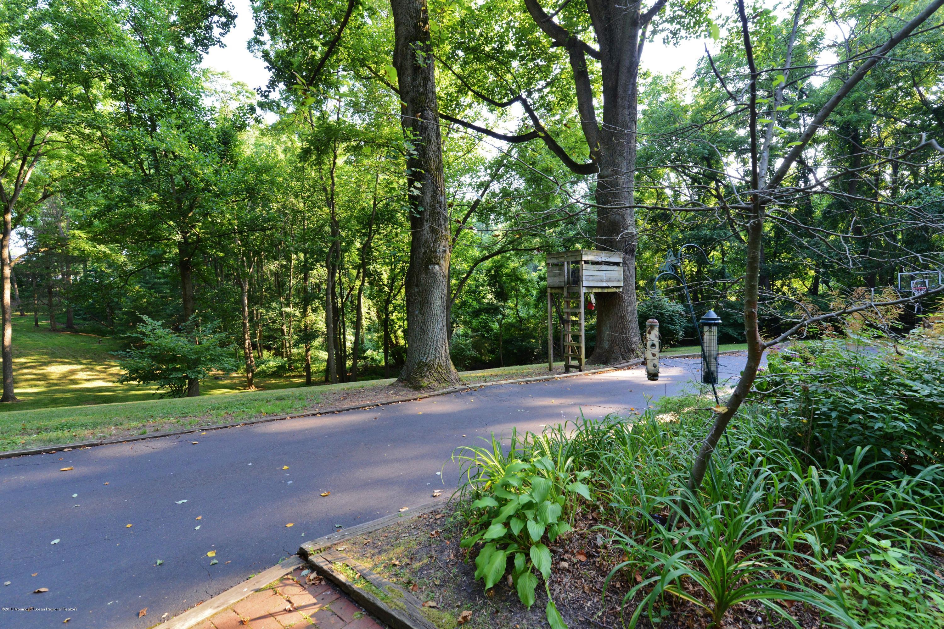 245 Red Hill Road Middletown, NJ 07748 - Photo 13 of 37 DSC_9657