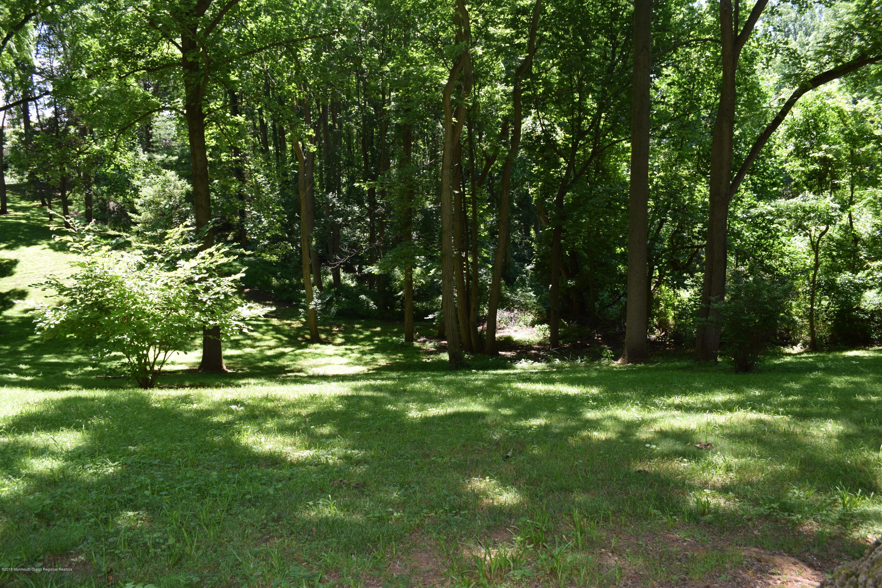 245 Red Hill Road Middletown, NJ 07748 - Photo 9 of 37 DSC_0025
