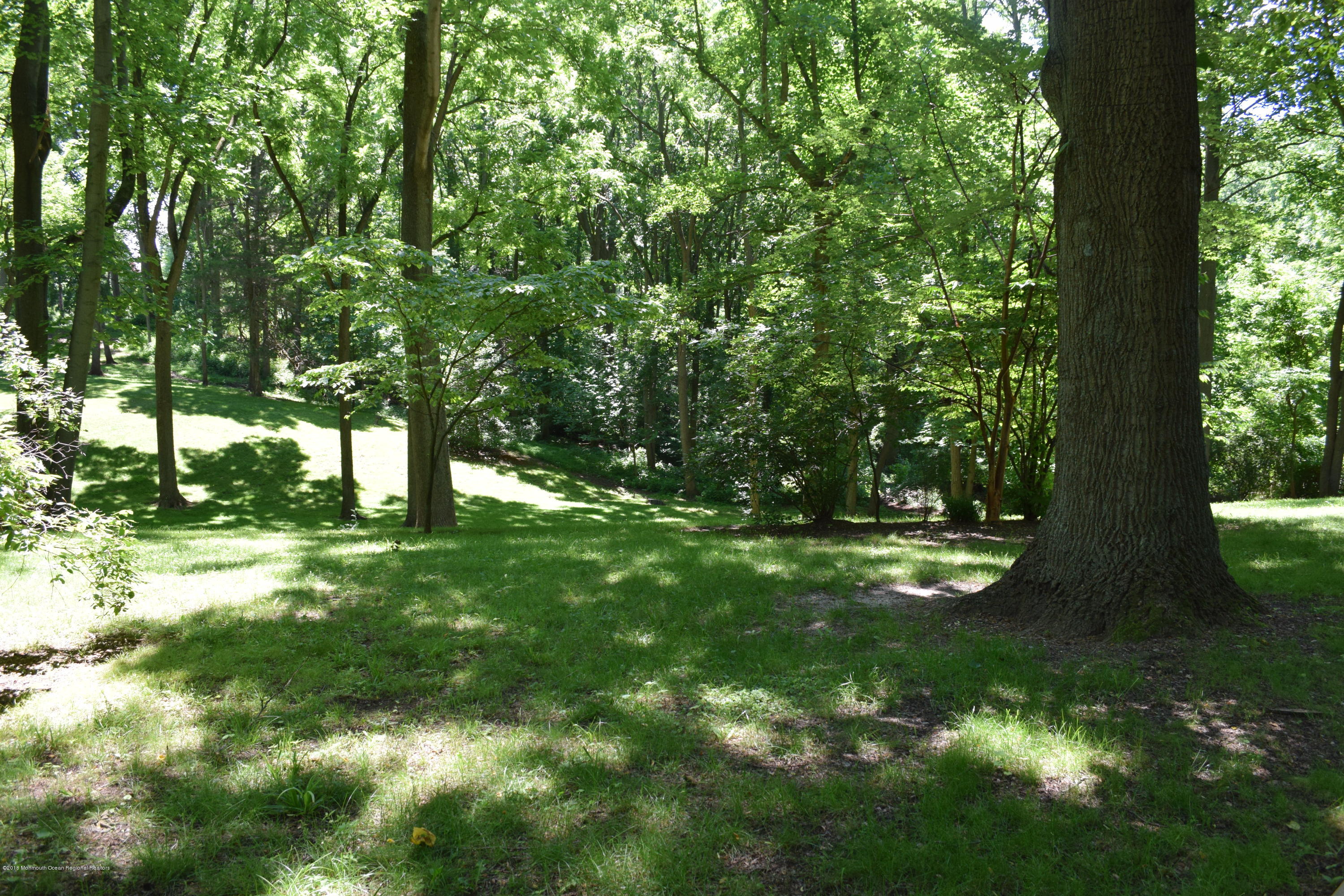 245 Red Hill Road Middletown, NJ 07748 - Photo 10 of 37 DSC_0026
