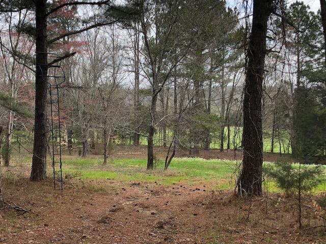 12 Old Guthrie Road Loretto, TN 38469 - Photo 21 of 30 Gallery Image 21