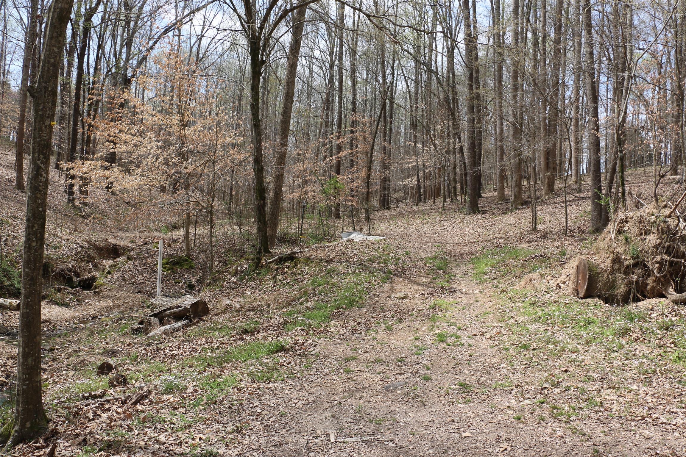 12 Old Guthrie Road Loretto, TN 38469 - Photo 26 of 30 Gallery Image 26