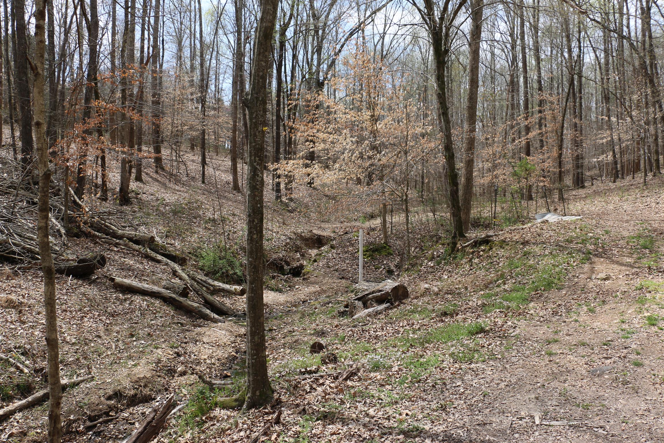 12 Old Guthrie Road Loretto, TN 38469 - Photo 27 of 30 Gallery Image 27