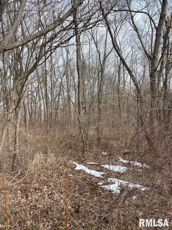 $69,500 | North 900th Street, Martinsville, IL 62442