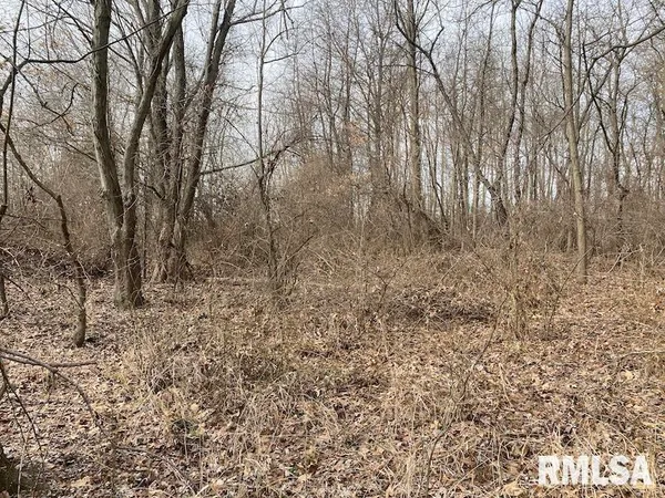 $69,500 | North 900th Street, Martinsville, IL 62442