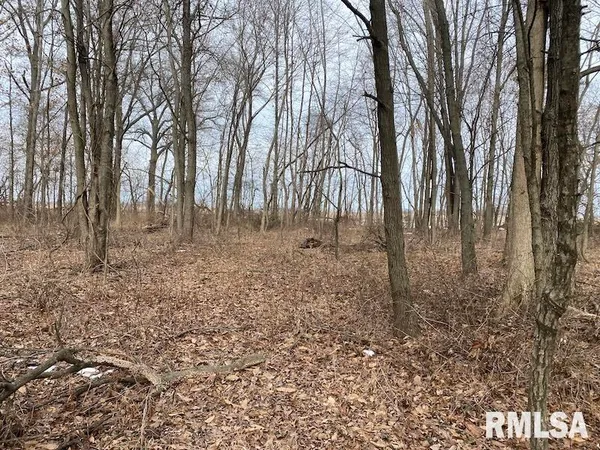 $69,500 | North 900th Street, Martinsville, IL 62442