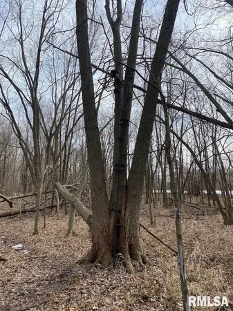 $69,500 | North 900th Street, Martinsville, IL 62442