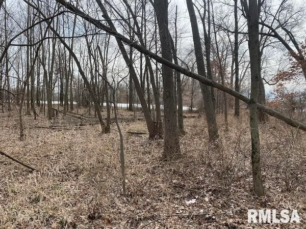 $69,500 | North 900th Street, Martinsville, IL 62442