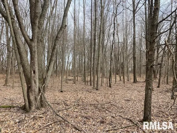 $69,500 | North 900th Street, Martinsville, IL 62442