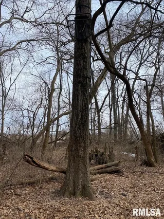 $69,500 | North 900th Street, Martinsville, IL 62442