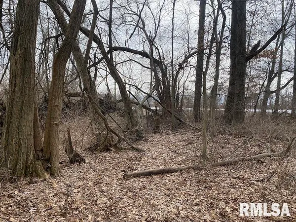 $69,500 | North 900th Street, Martinsville, IL 62442