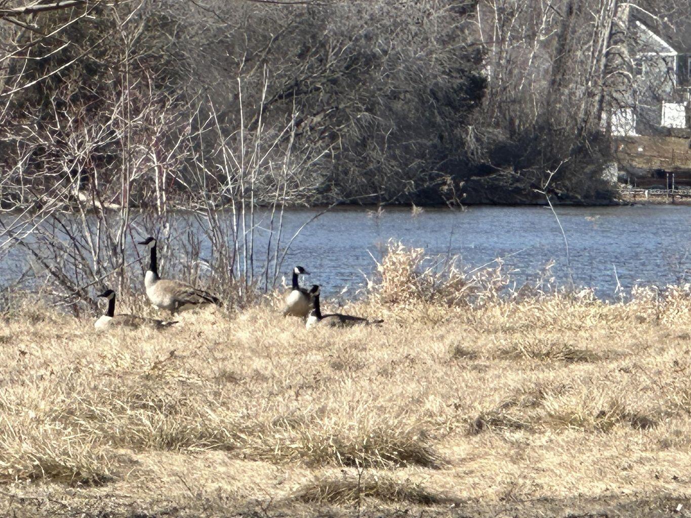 Two Wilson Street Two Rivers, WI 54241 - Photo 5 of 12 20240319184302025157000000-o