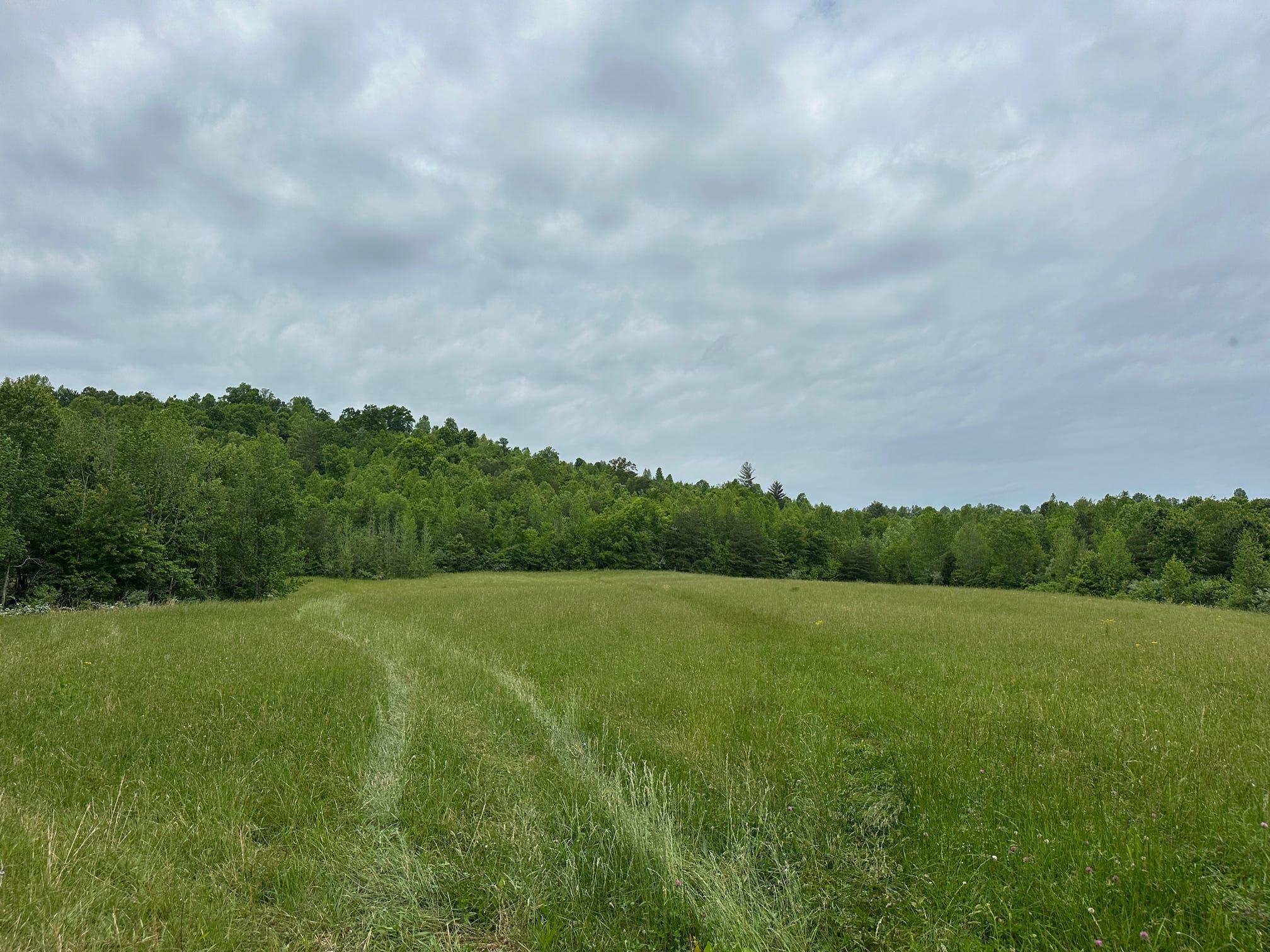 1802 River Road Williamsburg, KY 40769 - Photo 7 of 59 Field