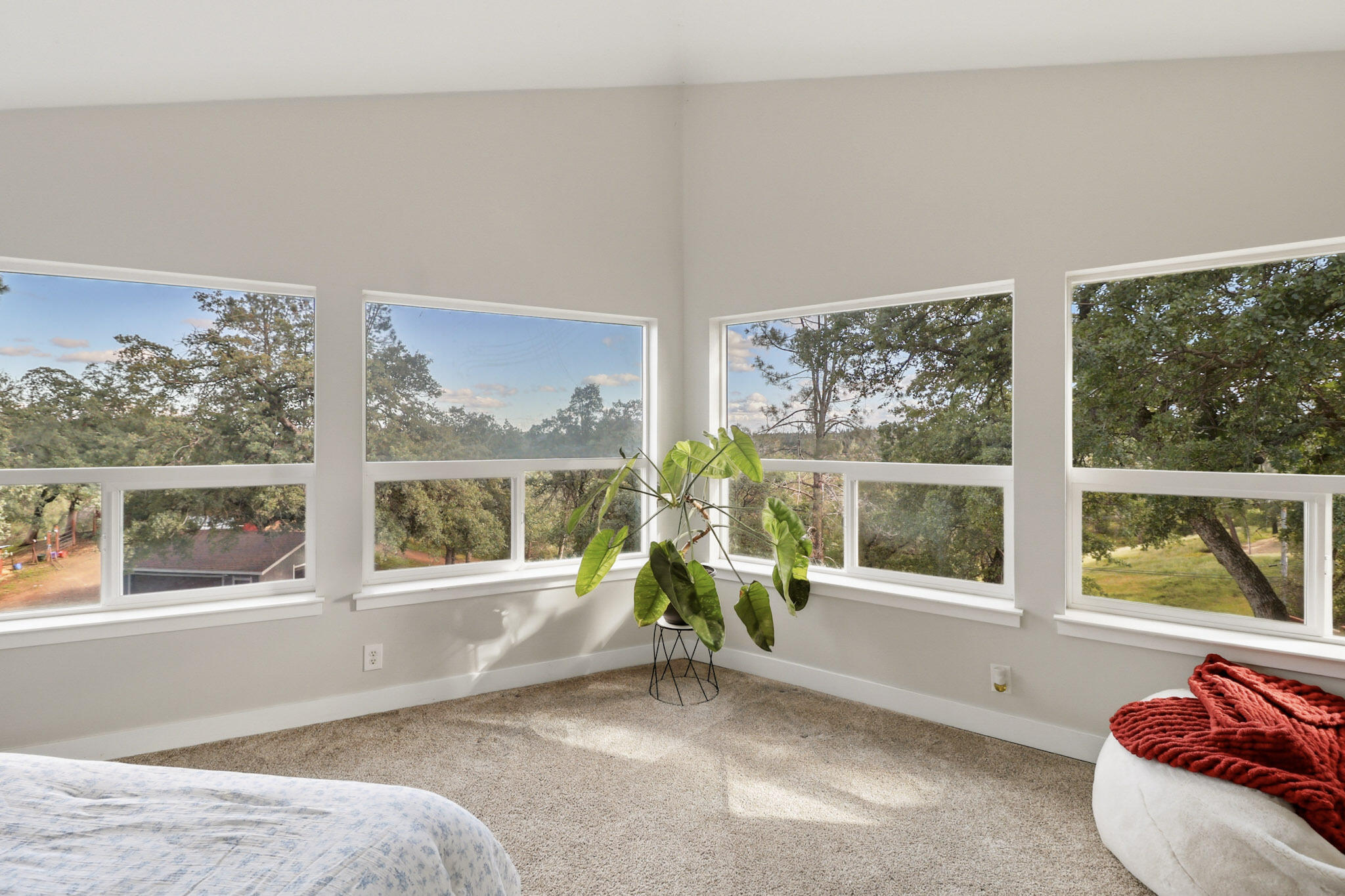 7300 Placer Road Redding, CA 96001 - Photo 15 of 54 MB-3