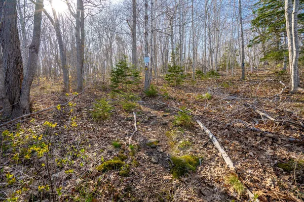 $108,000 | 17 Eastwood Court, Chamberlain, ME 04541