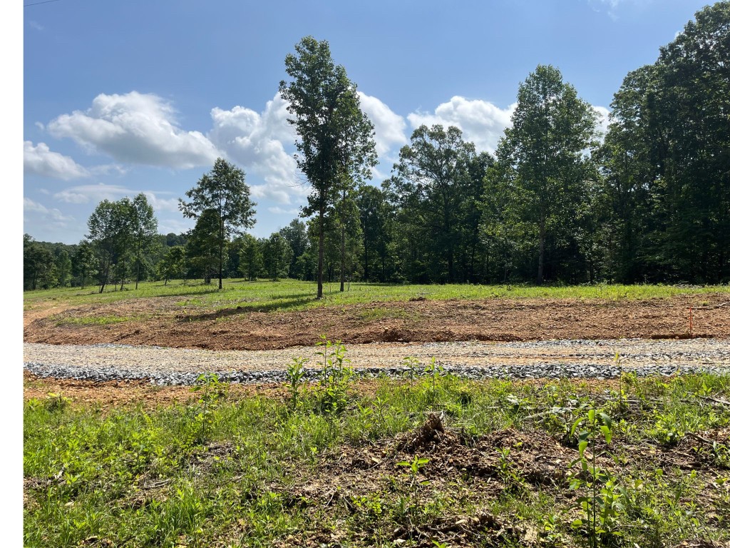 10898 Back Piney Road Bon Aqua, TN 37025 - Photo 2 of 6 a view of a yard